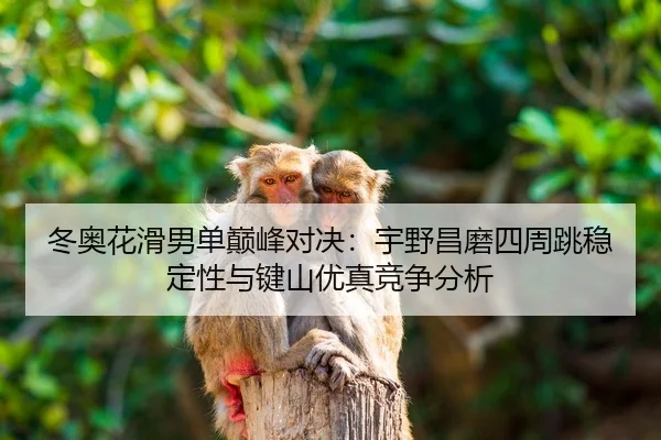 dong-ao-hua-hua-nan-dan-dian-feng-dui-jue-yu-ye-chang-mo-si-zhou-tiao-wen-ding-xing-yu-jian-shan-you-zhen-jing-zheng-2-680.jpg