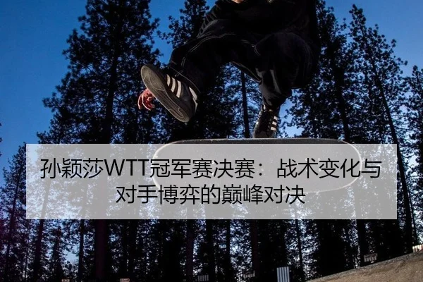 孙颖莎WTT冠军赛决赛：战术变化与对手博弈的巅峰对决